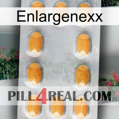 Enlargenexx cialis3